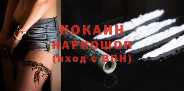 МДПВ Ельня
