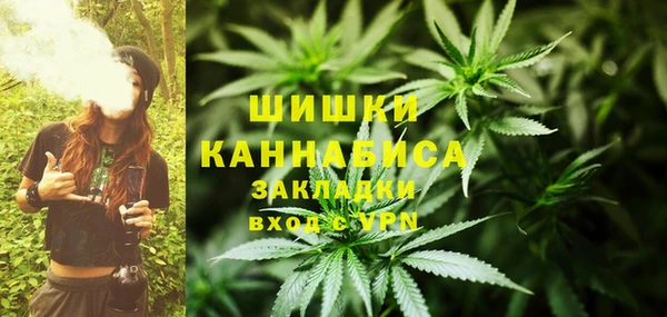 ПСИЛОЦИБИНОВЫЕ ГРИБЫ Абдулино