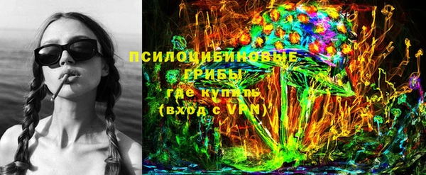 шишки Абинск