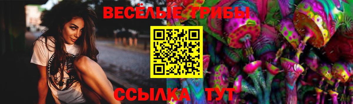 Псилоцибиновые грибы Psilocybine cubensis  Вход с VPN  Череповец 